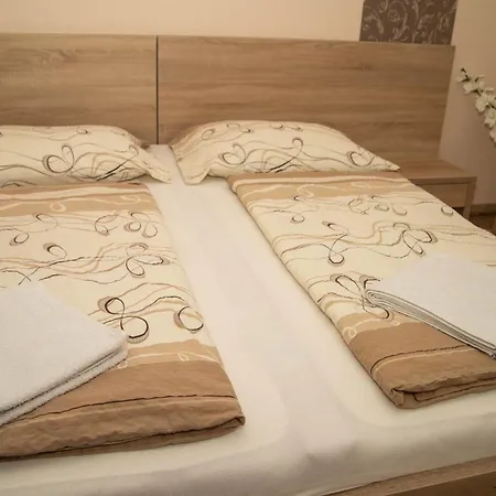 בית הארחה Boroka Vendeghaz